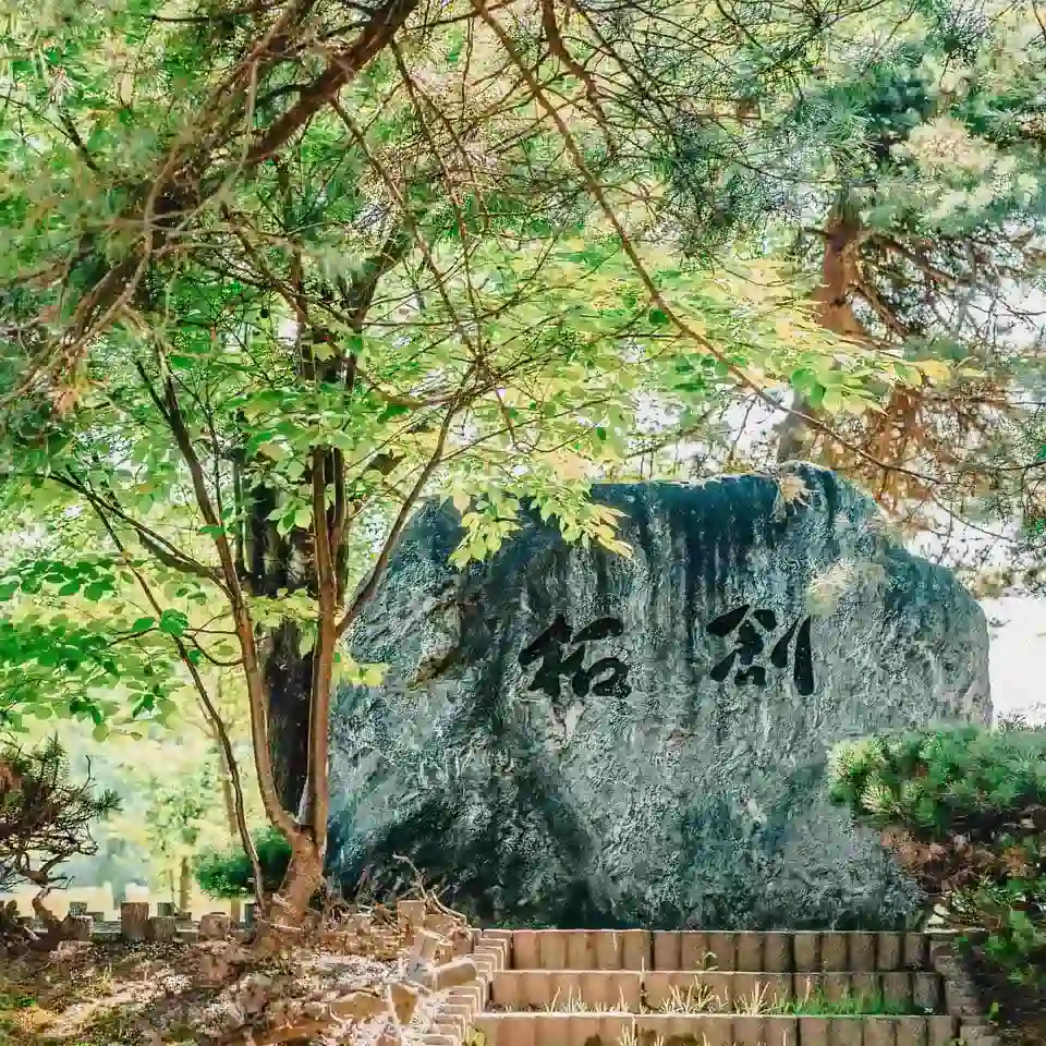 ong_public-works-cases01-1