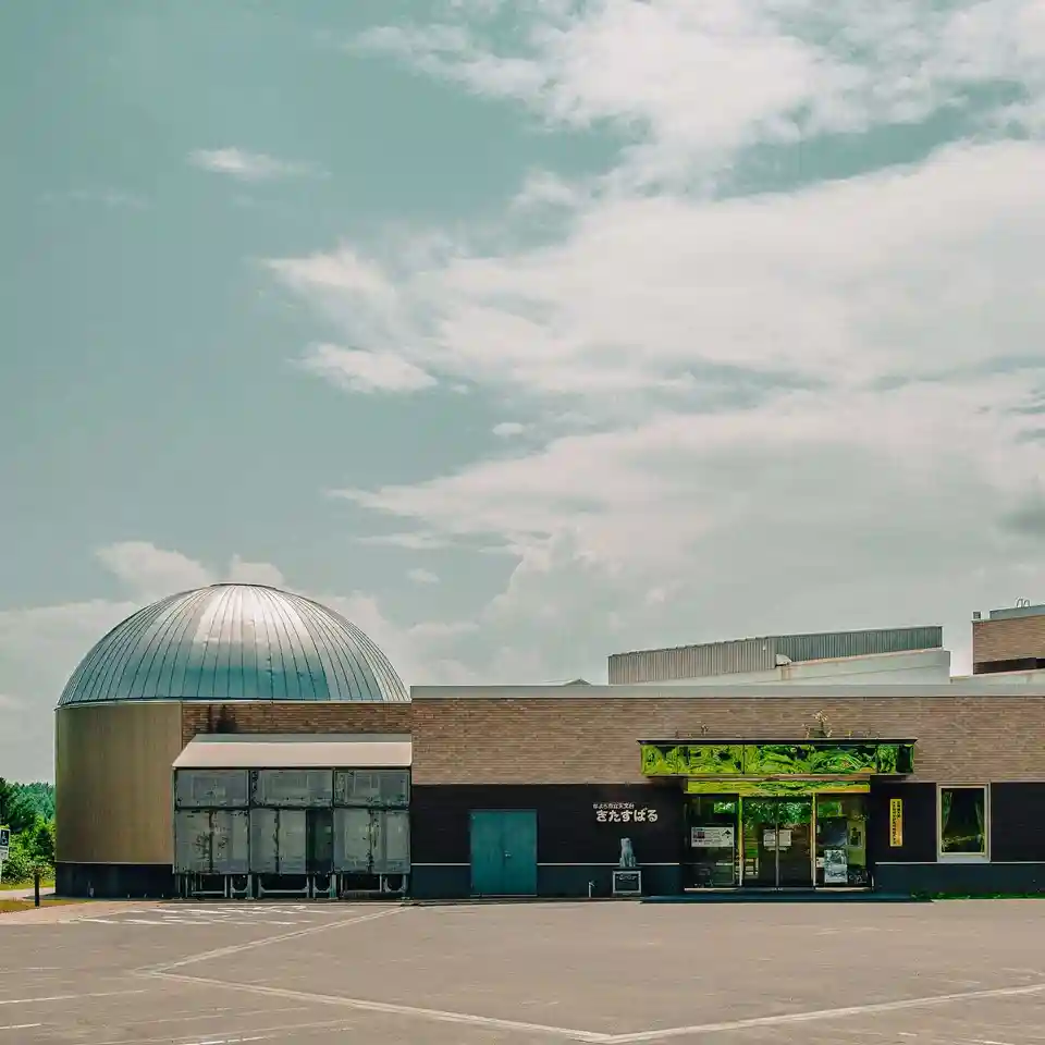 ong_public-works-cases11-1